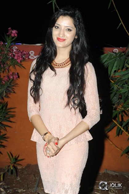 Richa-Panai-at-Chandamama-Kathalu-National-Award-Celebrations